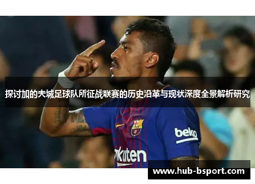 探讨加的夫城足球队所征战联赛的历史沿革与现状深度全景解析研究